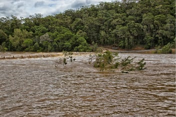 Climate risk and downstream impacts