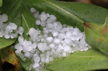 How Australian Organisations can Minimise Hail Storm Risk