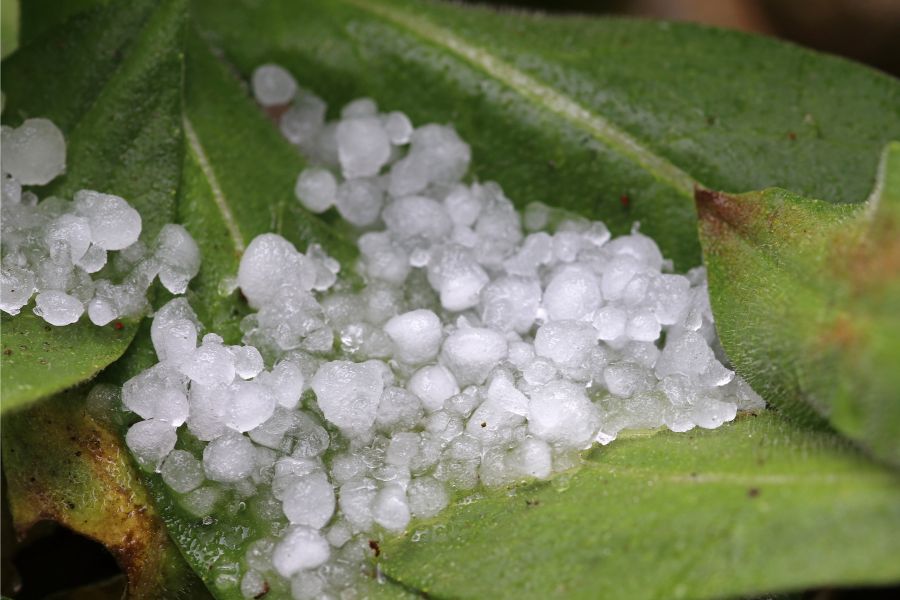 How Australian Organisations can Minimise Hail Storm Risk